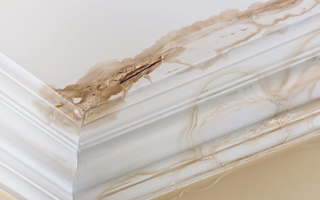 What You Need to Know About Residential Water Damage 