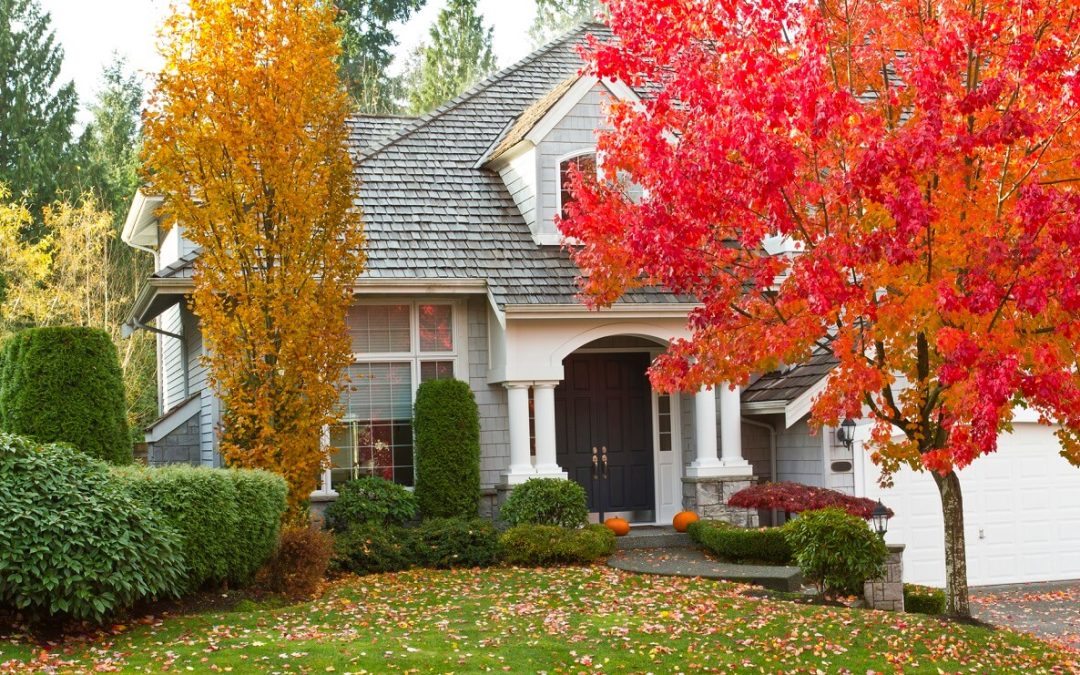 6 Ways to Improve Fall Curb Appeal